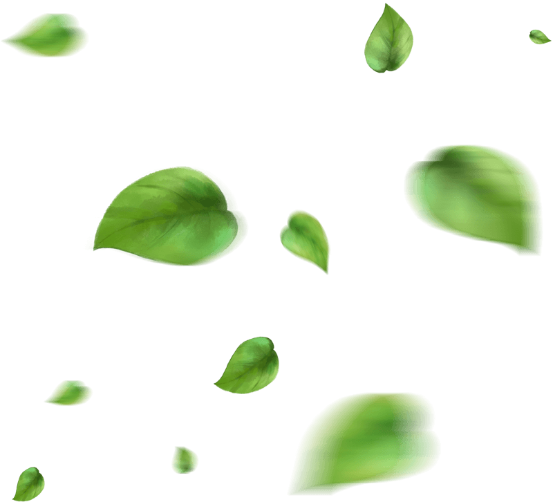 tekkeliler tarım leaf